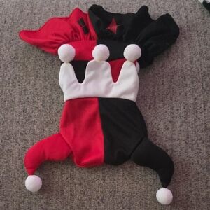 Harley Quinn Costume for Dogs